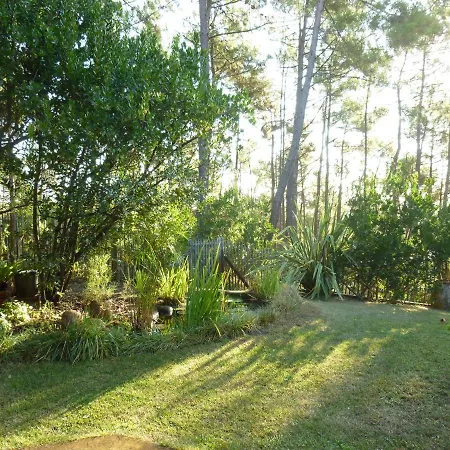La Baganaise Lacanau